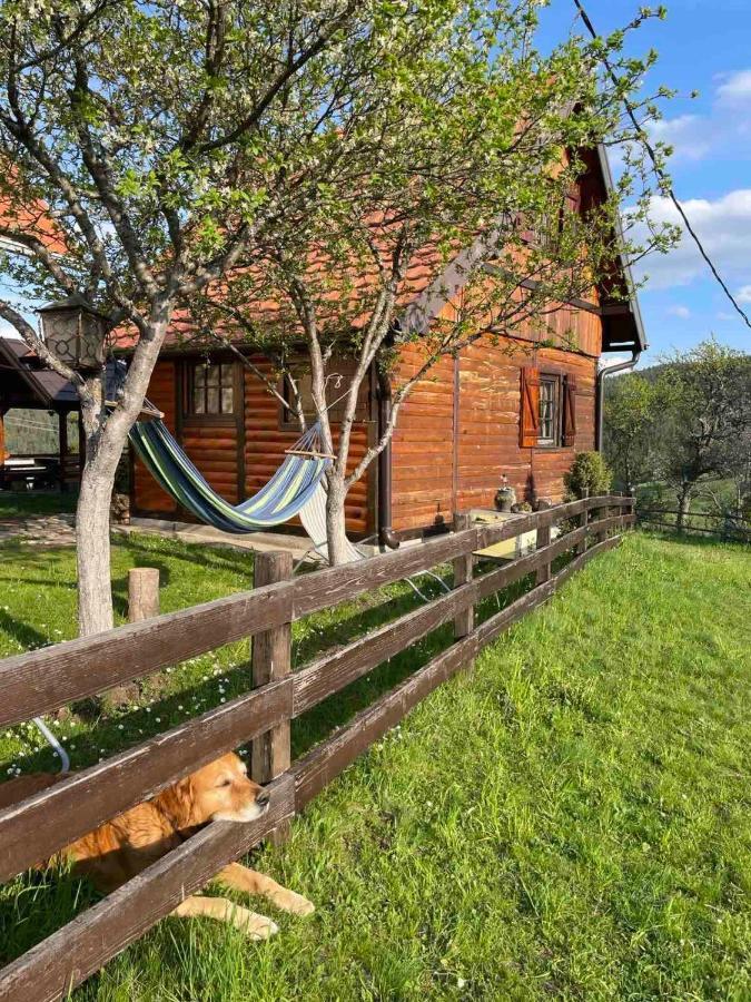 Brvnare Na Brdu Villa Sljivovica  Luaran gambar