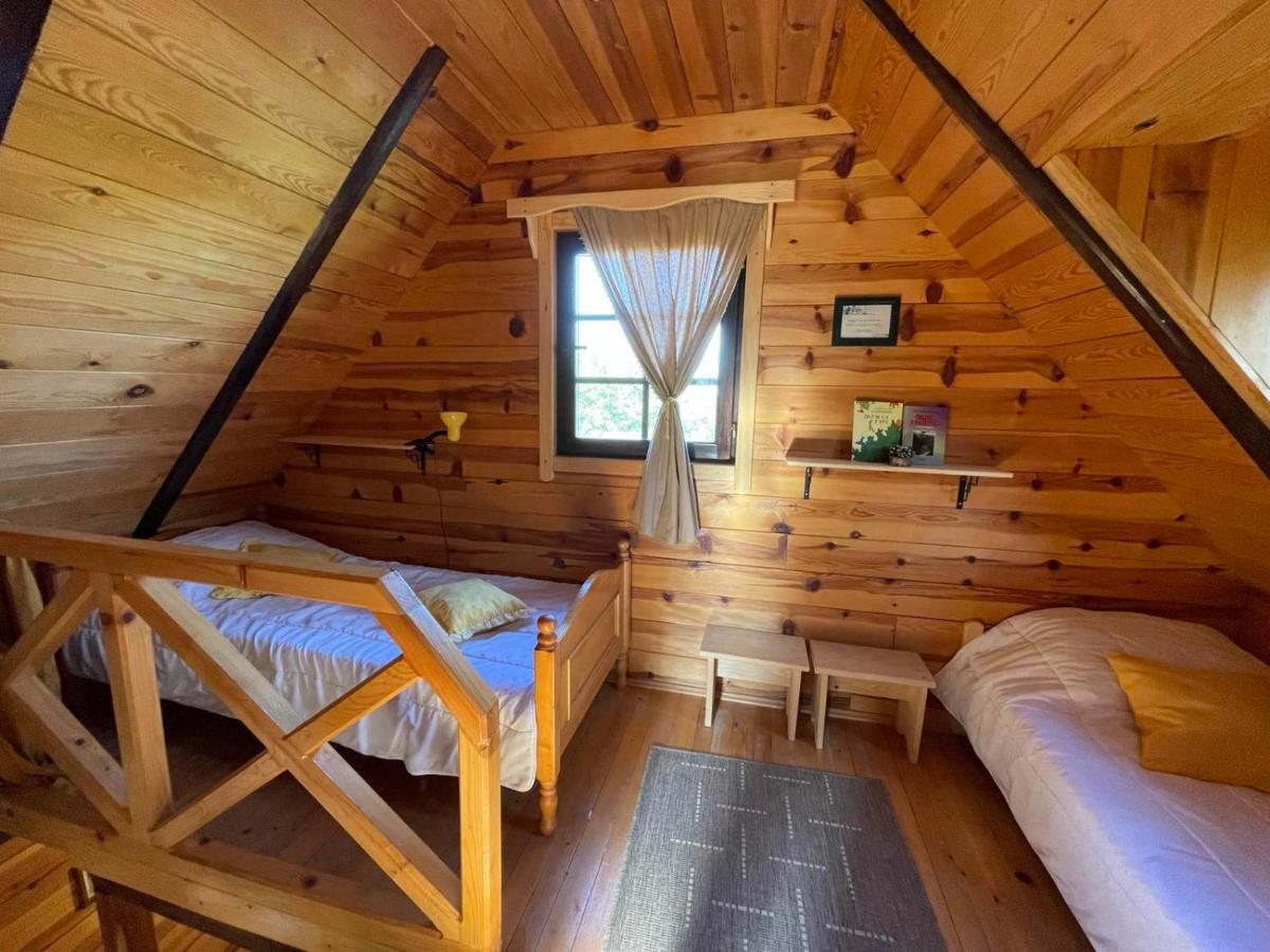 Brvnare Na Brdu Villa Sljivovica  Luaran gambar