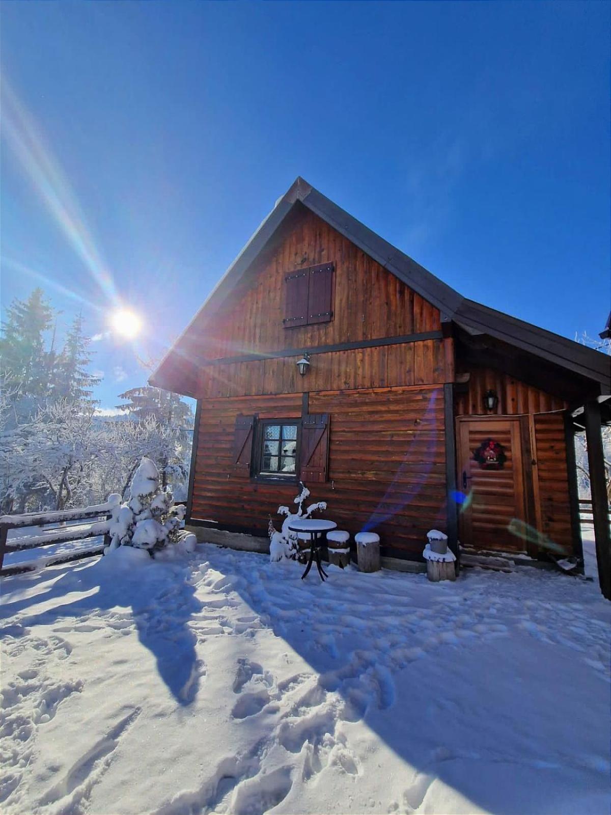 Brvnare Na Brdu Villa Sljivovica  Luaran gambar