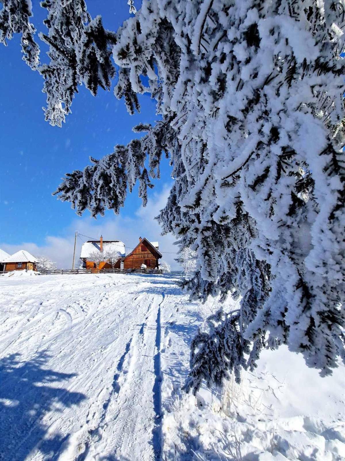 Brvnare Na Brdu Villa Sljivovica  Luaran gambar