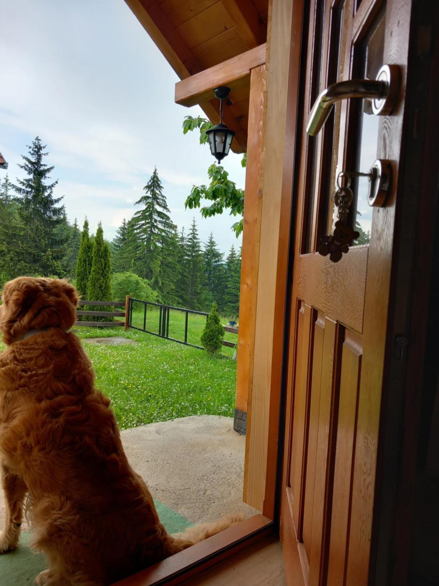 Brvnare Na Brdu Villa Sljivovica  Luaran gambar